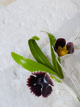 Load image into Gallery viewer, Charming Florentine PAIR Wall Light Enameled Metal Tole Flowers 1980 Italian
