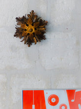 Load image into Gallery viewer, BANCI Mid Century Murano Ceiling Wall Light Gilded Tole Chandelier BAGUES Style*