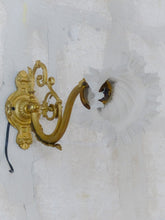 Load image into Gallery viewer, Antique PAIR French Gilt Bronze Brass Wall Light Sconce Rare Shade 19TH Rare