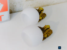 Load image into Gallery viewer, Antique PAIR French Empire Wall Light Opaline Shades Swan Bronze 1920 PETITOT