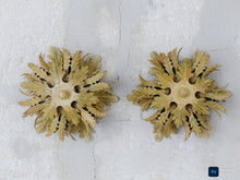 Load image into Gallery viewer, PAIR BANCI Mid Century Murano Ceiling Wall Light Gilded Tole Chandelier