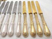 Load image into Gallery viewer, CHRISTOFLE OMG Rare set 24 French Dessert Fruits knives Silver &amp; Gold plated BOX
