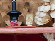 Load image into Gallery viewer, XXL 24" Antique French Diorama Box Ex Voto subject Religious Rare House pattern