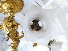 Load image into Gallery viewer, Excpt Large French Gilded Bronze Louis XV Rococo Chandelier 5 fires Shades 19TH