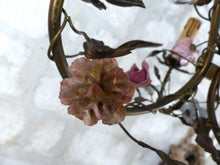 Load image into Gallery viewer, Gorgeous French Vintage brass Louis XVI Chandelier Porcelain Flower Foliage 1940