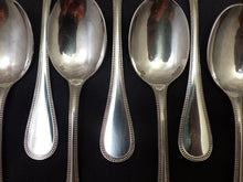 Load image into Gallery viewer, CHRISTOFLE PERLES RARE Complete Ice Cream set 12 Place settings 14pc MINT Server