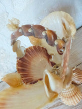 Load image into Gallery viewer, RARE Antique FRENCH c1900 SHELL ART Seashell Encrusted Basket
