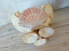 Load image into Gallery viewer, RARE Antique FRENCH c1900 SHELL ART Seashell Encrusted Basket
