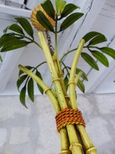 Load image into Gallery viewer, Charming Vintage Palm Chandelier Faux Bamboo Ceiling 1980&#39; Regency Mid Century
