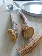 Load image into Gallery viewer, Charming Set 5x Serving Piece Horn 1900 Kitchen Table Stainless Salad Pie Server
