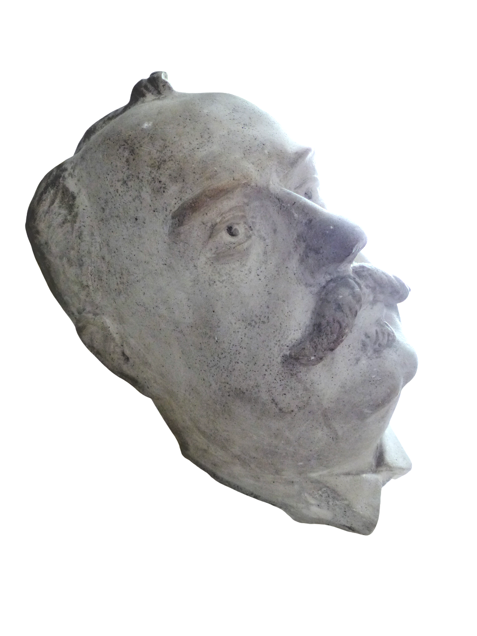 Gorgeous Antique Notable Man face Head Bust Plaster style Art Sculpture 1900