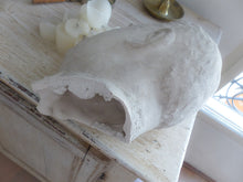 Load image into Gallery viewer, Gorgeous Antique Notable Man face Head Bust Plaster style Art Sculpture 1900
