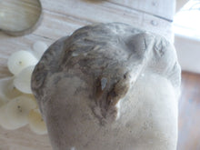 Load image into Gallery viewer, Gorgeous Antique Notable Man face Head Bust Plaster style Art Sculpture 1900
