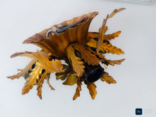Load image into Gallery viewer, BANCI 1980 Murano Ceiling Wall Light Gilded Tole Chandelier BAGUES Foliage 3lgts
