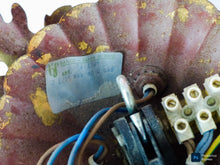 Load image into Gallery viewer, BANCI 1980 Murano Ceiling Wall Light Gilded Tole Chandelier BAGUES Foliage 3lgts
