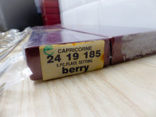 Load image into Gallery viewer, CHRISTOFLE BERRY Stainless Table set 12 Place settings CAPRICORNE New &amp; Mint
